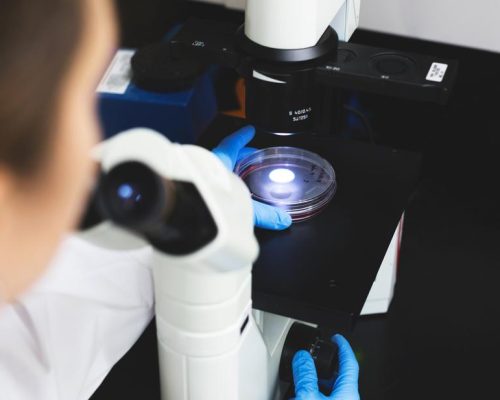 science-examining-magnifiers.jpg